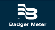 badger meter